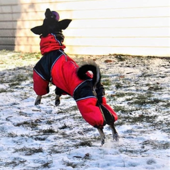 Custom dog coats,style milo, mid size snow winter coat brand new without tag - Picture 3 of 9